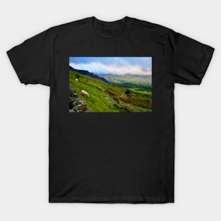 Sheep in Snowdonia T-Shirt